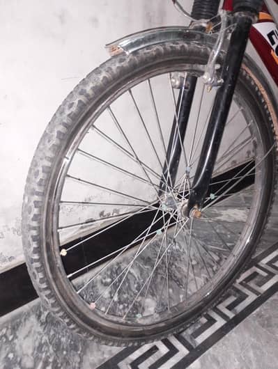 cycle