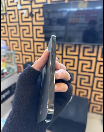 Apple iPhone 13 Pro jv