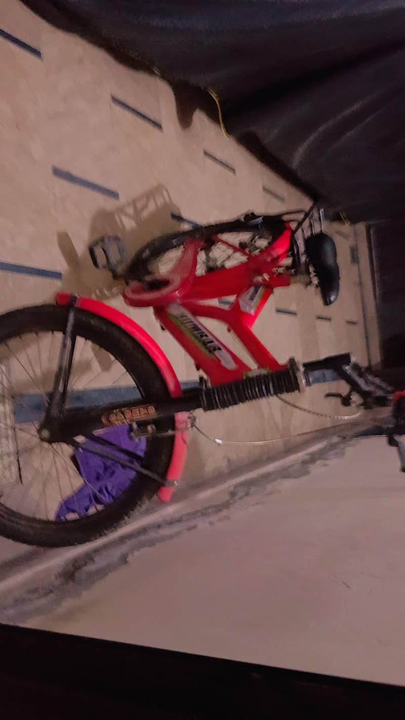 bicycle 0