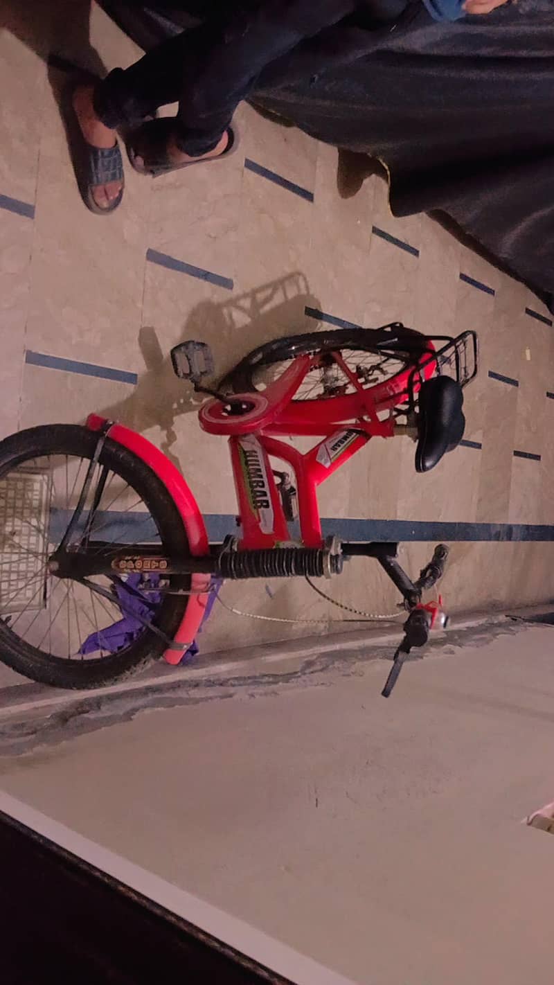 bicycle 2