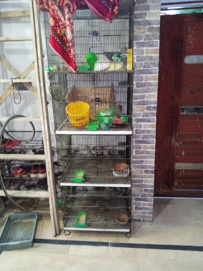 master folding cage