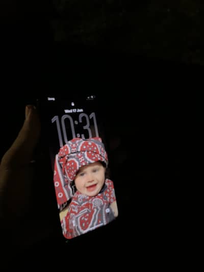 Apple iPhone 13 Pro sim working