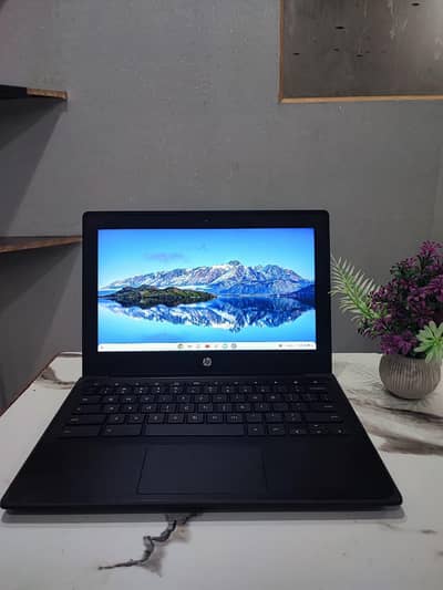 hp Chromebook