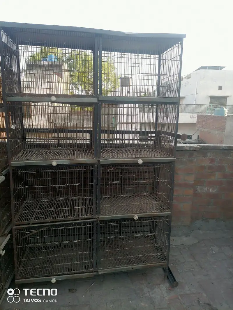 CAGES FOR SALE — photo 3