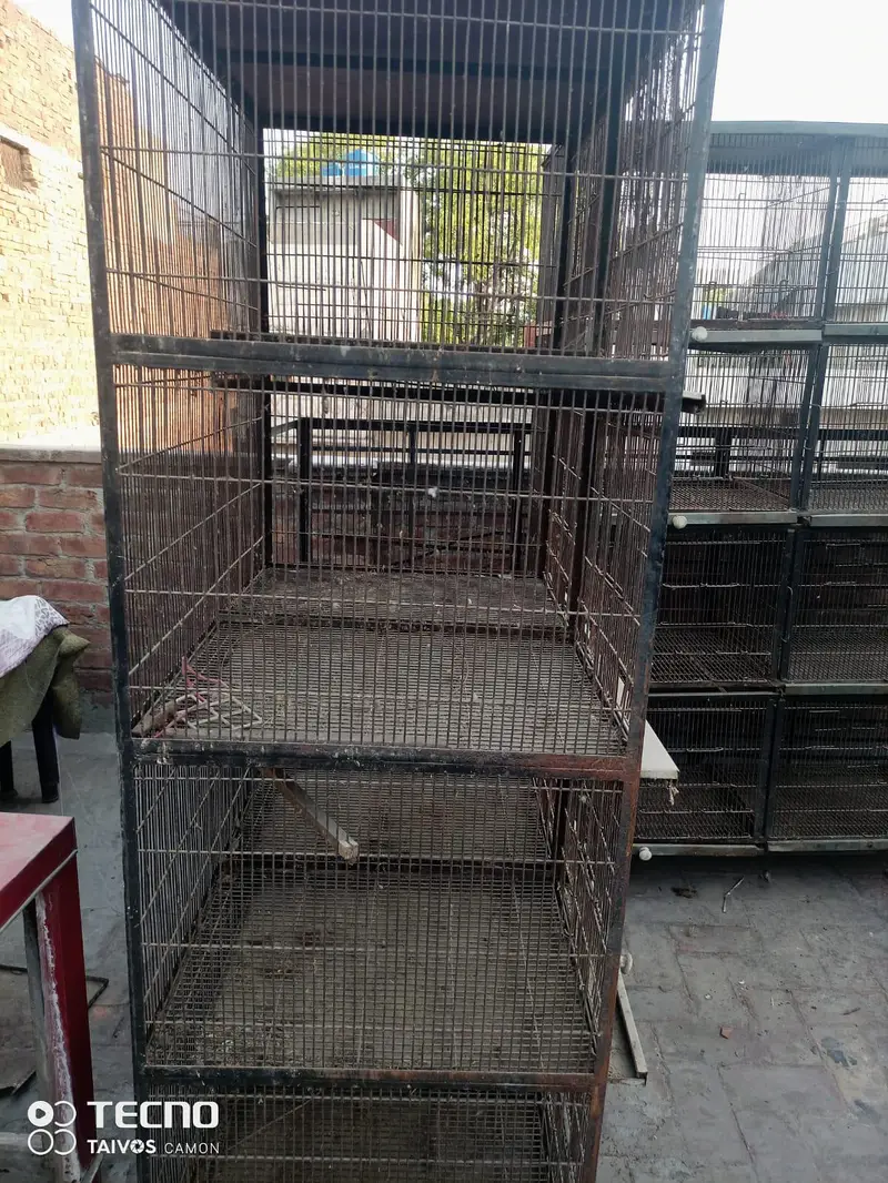 CAGES FOR SALE — photo 6