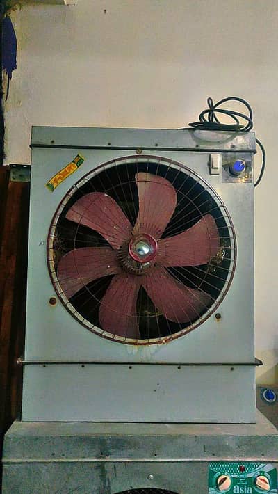 Lahoreii Cooler
