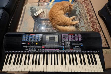 ​Yamaha PSR-220 Digital Keyboard – All-Original, Mint Condition