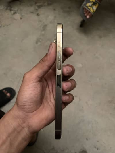 IPhone 13 Pro Max factory unlock