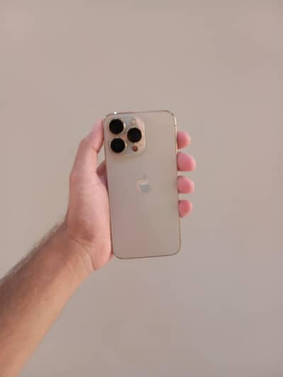 Apple iPhone 13 Pro