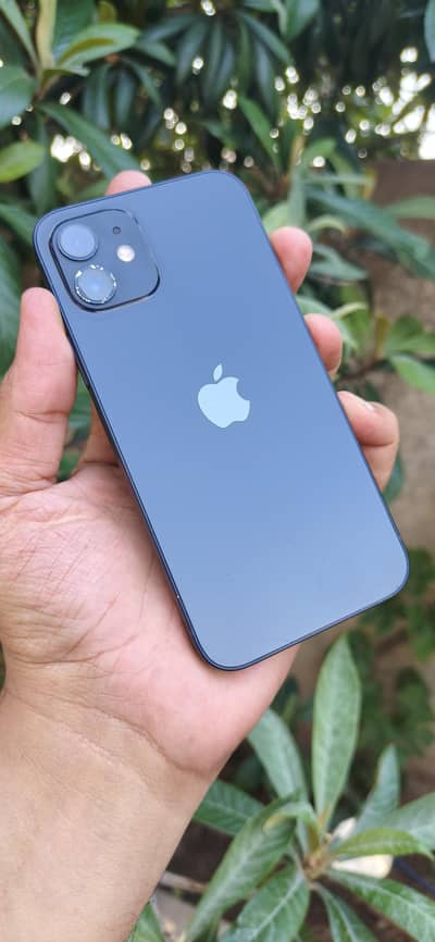Apple iPhone 12 PTA APROVED
