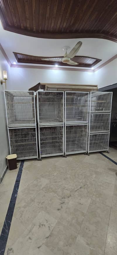 Parrots cage