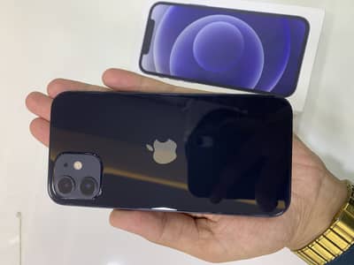 iPhone 12 Jv brand new Phone with Box