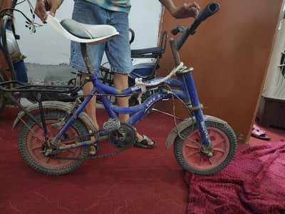 baby cycle