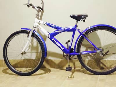 PHOENIX MOUNTAIN BICYCLE FOR SALE.