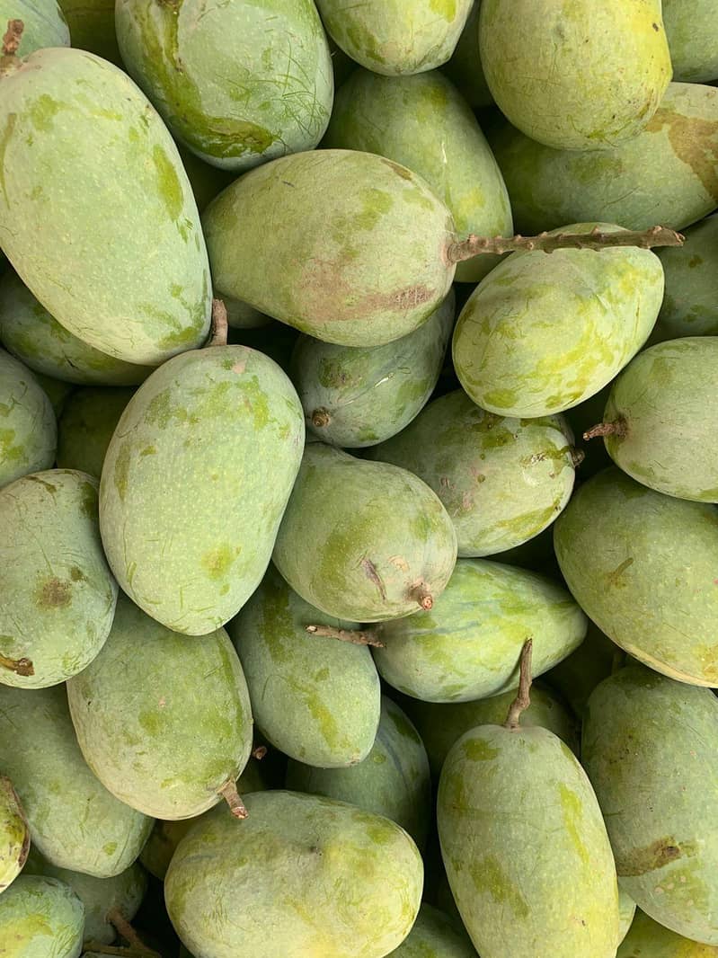 Multani Mango  2