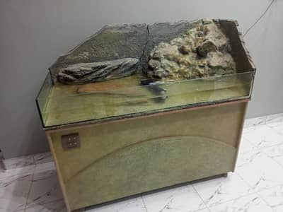 Aquarium for Fishes