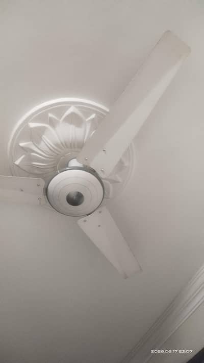 ceiling fans