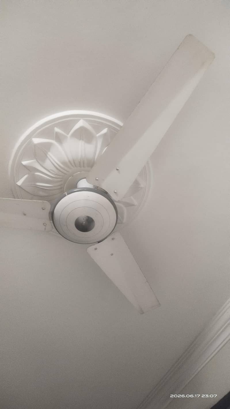 ceiling fans 0