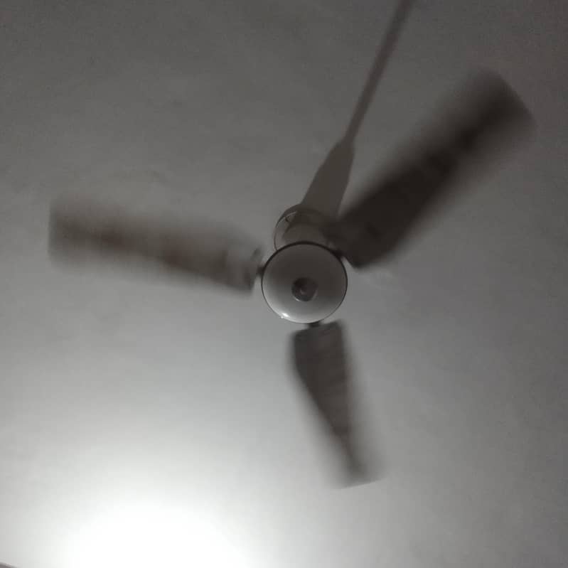 ceiling fan 1
