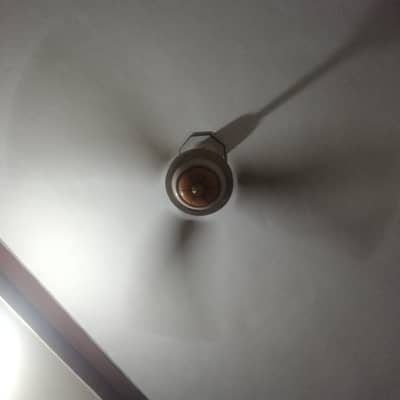 ceiling fan fancy