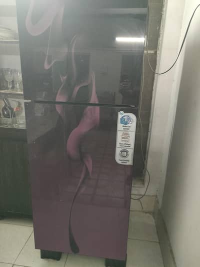 pel jambo size fridge