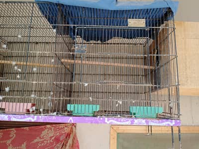 cages for sale