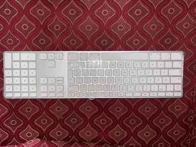 Apple Wired A1243