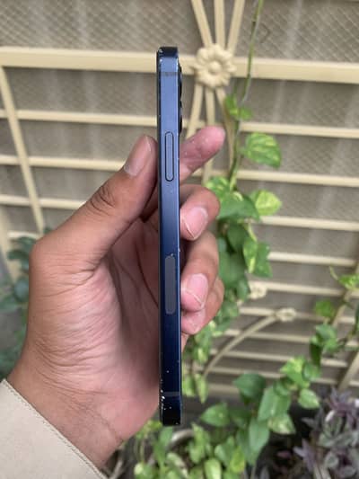 Apple iPhone 12