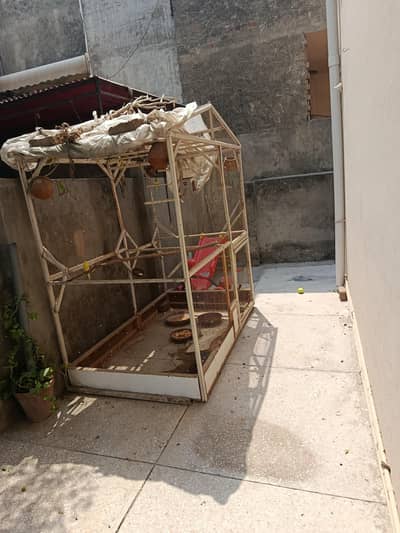 cage for sale