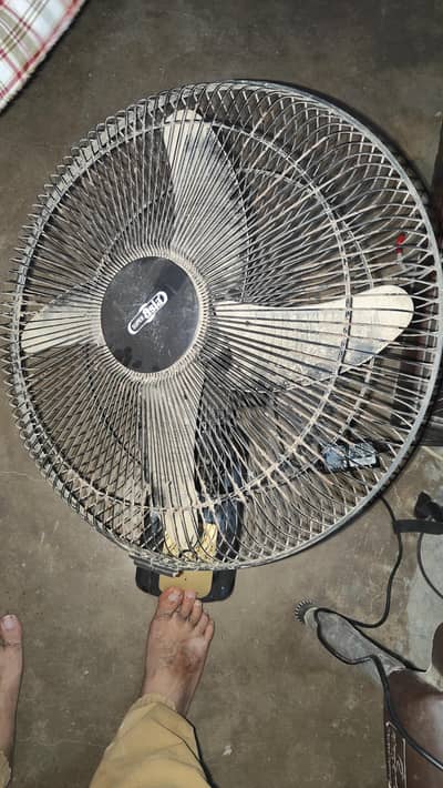 Super Asia Wall Bracket Fan for Sale 18 Inch