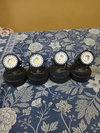 Spotlights Home & Parlour
