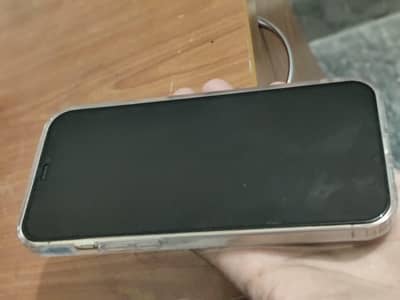 iphone 12 pro