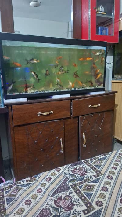 Aquarium available 3 fut long top 8mm left right 5. . 6. mm