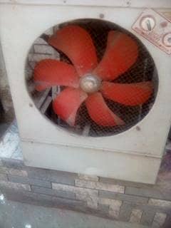 super Asia room. cooler
