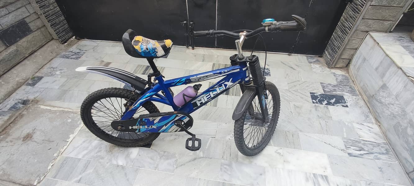Mountain bicycle 1