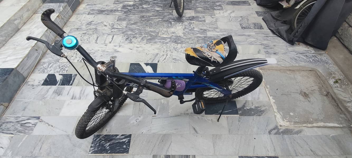 Mountain bicycle 2