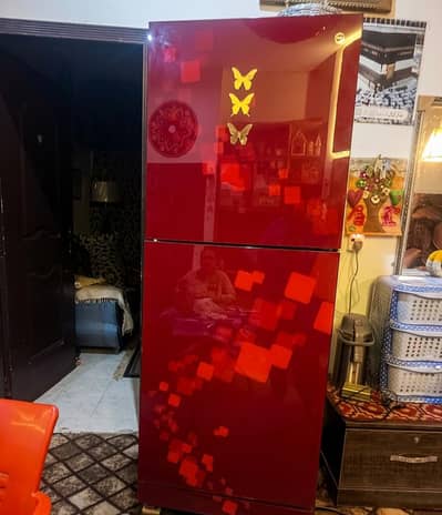 PEL refrigerator full size jumbo condition 10 by 9