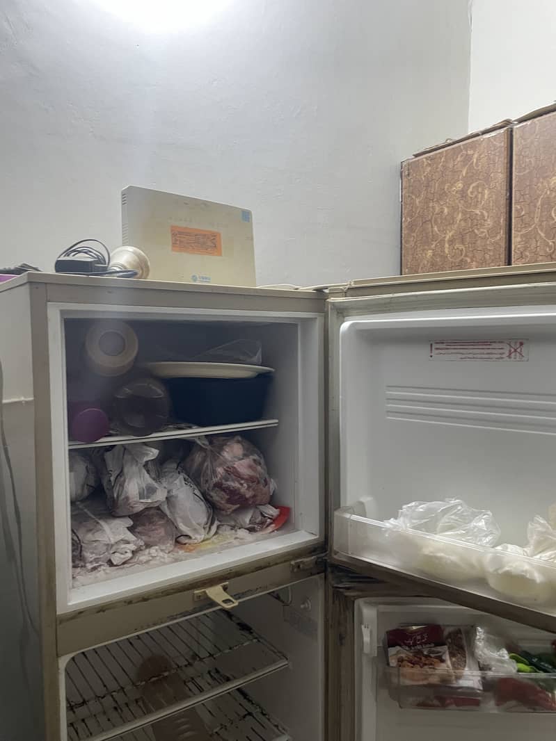 P E L fridge 3