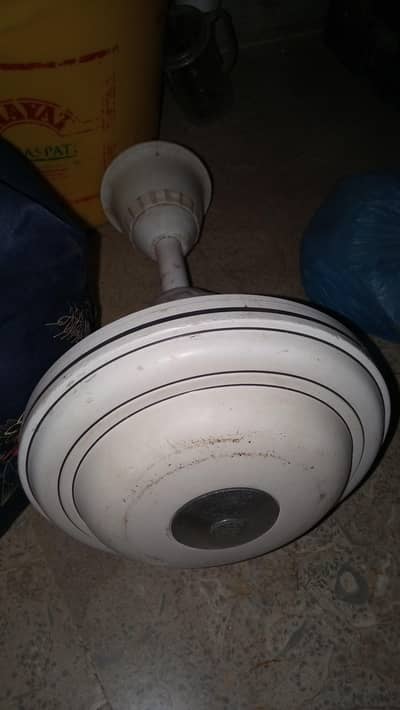 Rado Fan 56inch`No Ac Dc Diract K. e