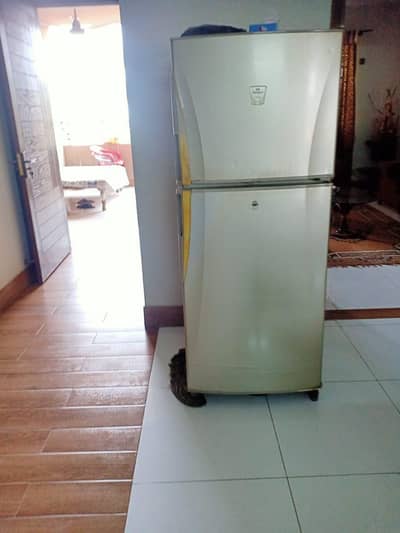 Dawlance fridge for sale and 1 sharp  freezer for sale