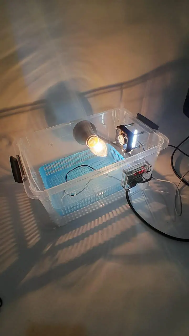 15 to 17 egg incubator 100% result garrentee 03024329933 — photo 3