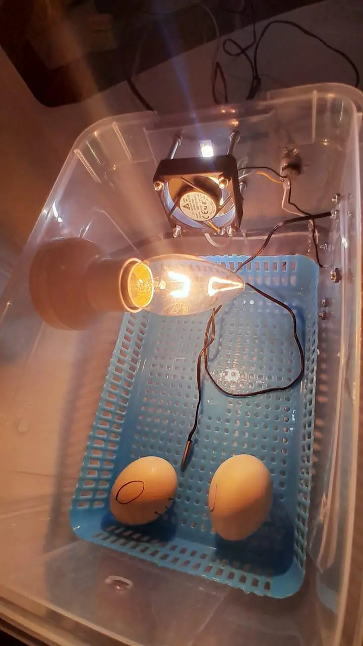 15 to 17 egg incubator 100% result garrentee 03024329933 — photo 5