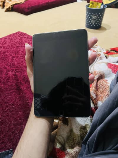 Ipad mini 5