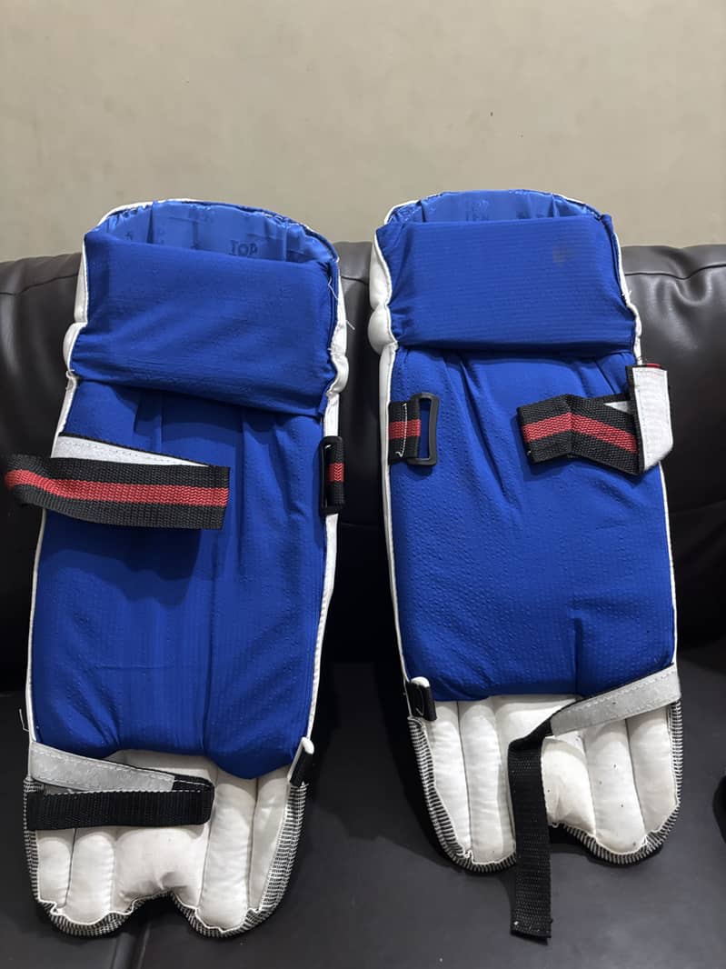 Cricket kit 3