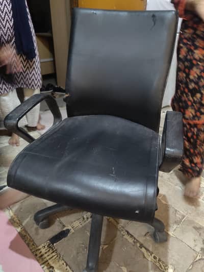 OFFICE Chair's