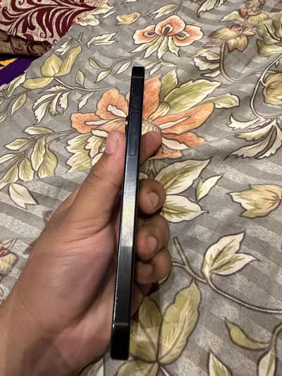 16 pro max 256gb