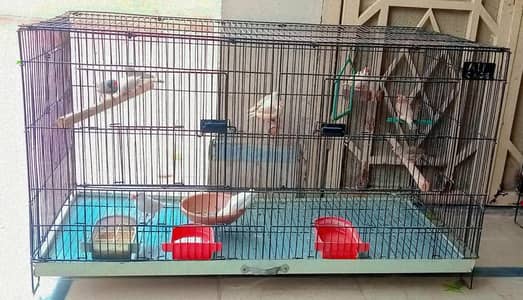 cage for sale