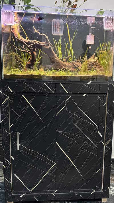 Planted Aquarium