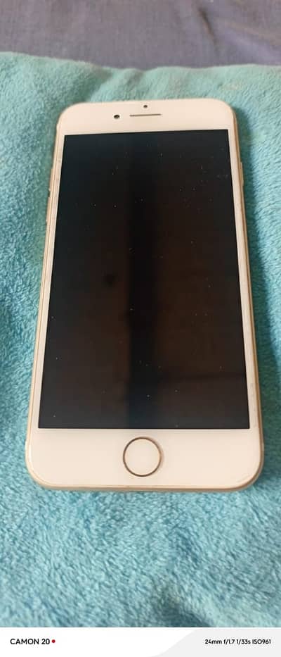 Apple iPhone 6