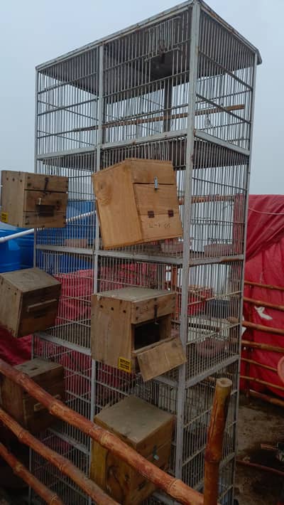 10 portions cage